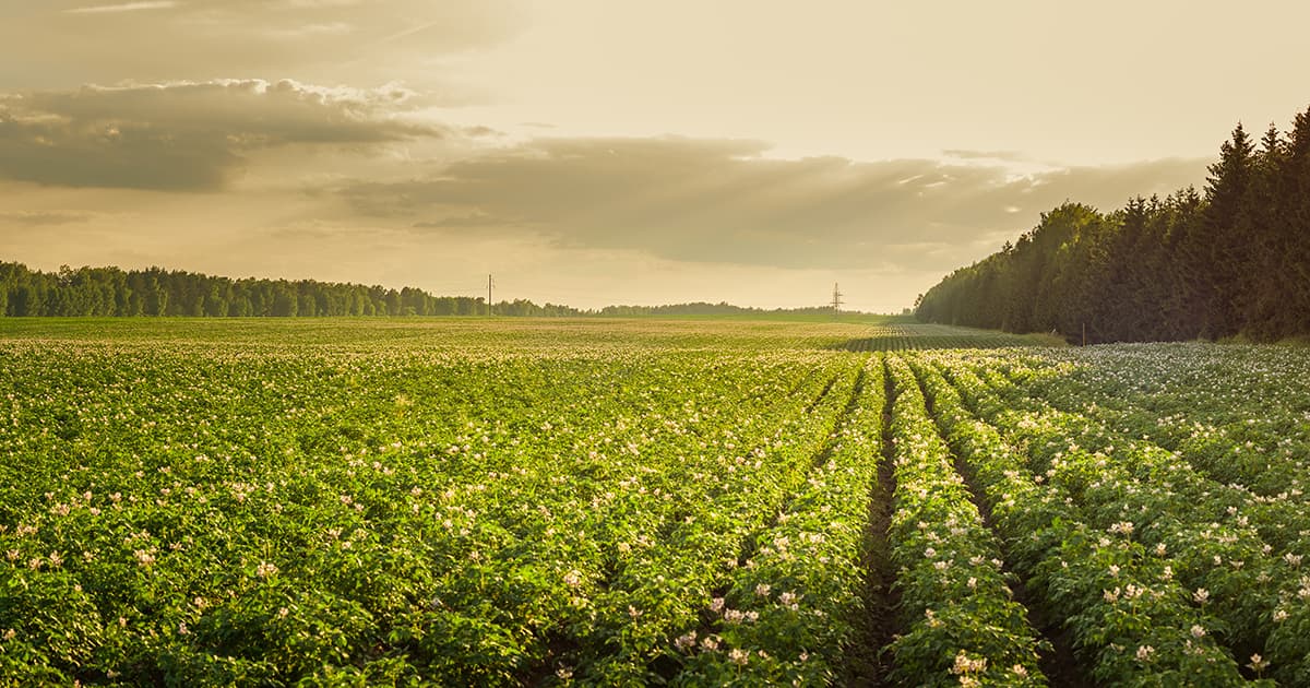 L'Industrie agricole