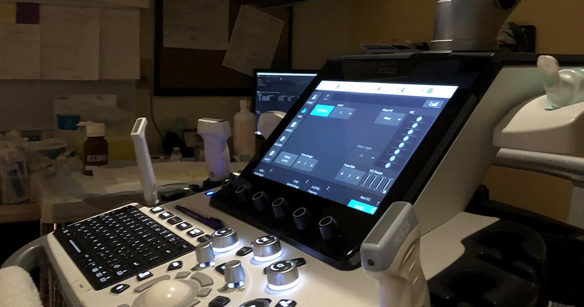 FibroScan et la fibrose du foie